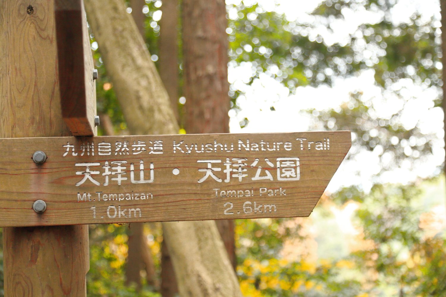 筑紫野市の概要・アクセス（乗り入れ路線・道路）